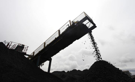33,1 proc. akcji JSW w ofercie publicznej