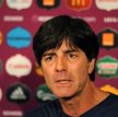 Loew salonowy