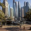 Klimat w "Parkiecie". Zielony jak szejk z Dubaju?