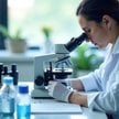 W pochówkach Chełmian sprzed ok. 500 lat naukowcy zidentyfikowali osiem gatunków pasożytów