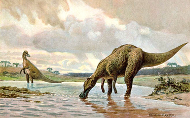 Skąd się wziął bursztyn z mszycą w kości dinozaura?
