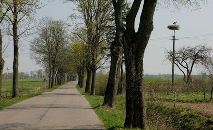 Powstanie fundusz na mniejsze drogi