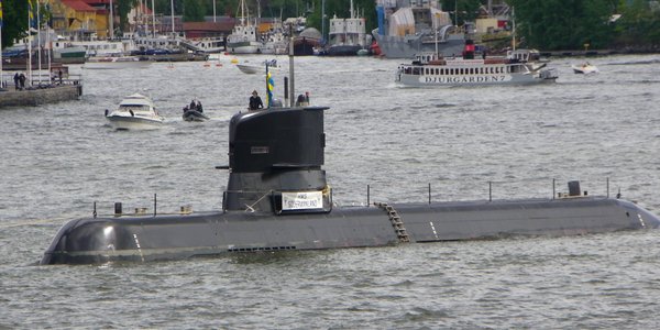 Польско-шведский брак по расчету