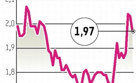 Jago: Zysk na koniec roku