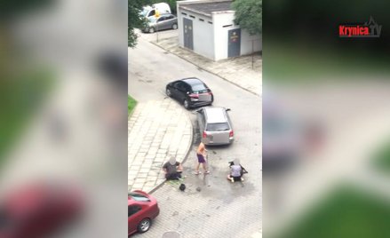 Zatrzymany pitbull. Zaatakował kobietę i jej dwa psy