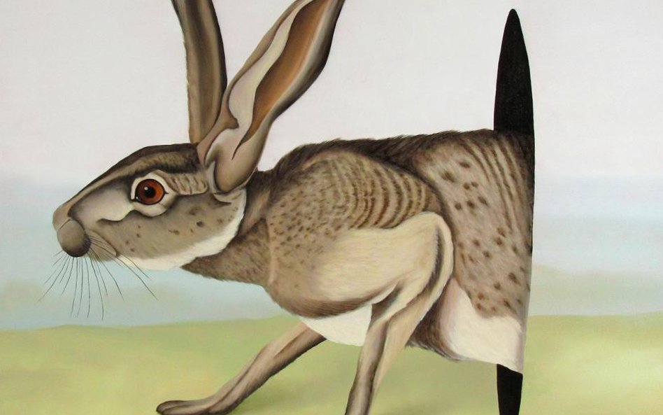 Dawid Czycz, bez tytułu, 2015, olej / płótno