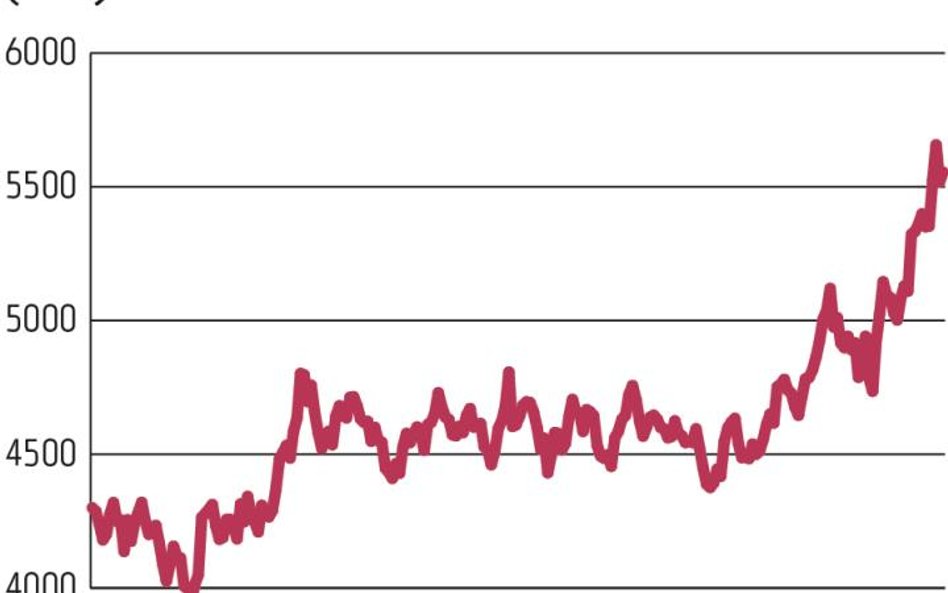 WIG-Paliwa | Indeks ciągle zyskuje na wartości. Od początku roku kurs indeksu WIG-Paliwa, w skład kt