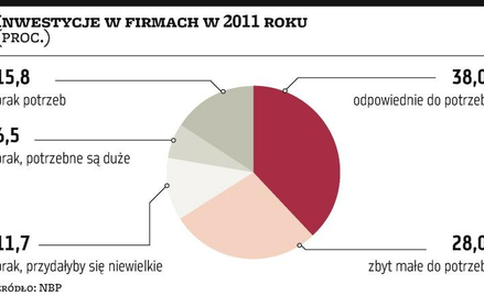 Firmy ostrożnie podchodzą do inwestowania