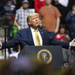 Trump: "Parasite"? Chcemy znowu "Przeminęło z wiatrem"