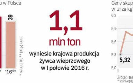 Ceny skupu trzody coraz niższe