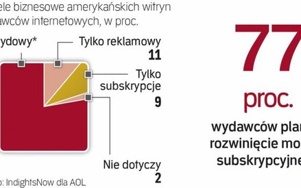 Jak finansują się strony www w USA