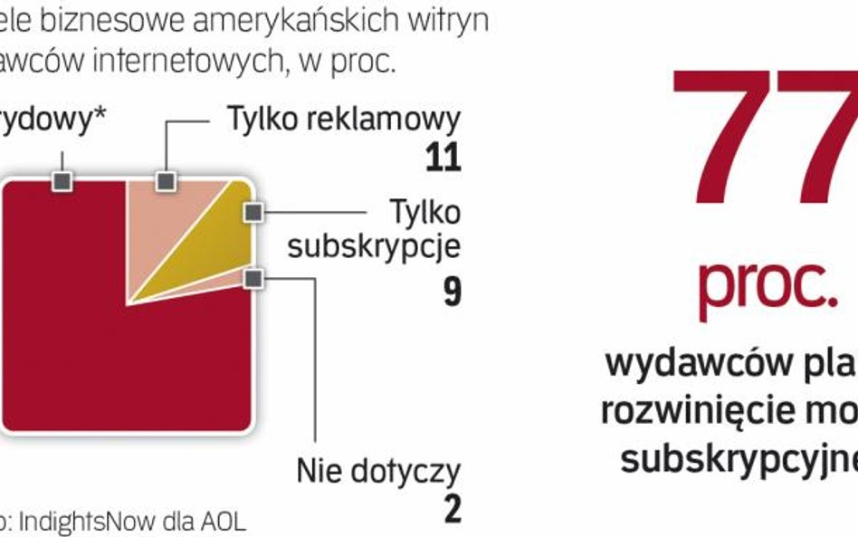 Jak finansują się strony www w USA