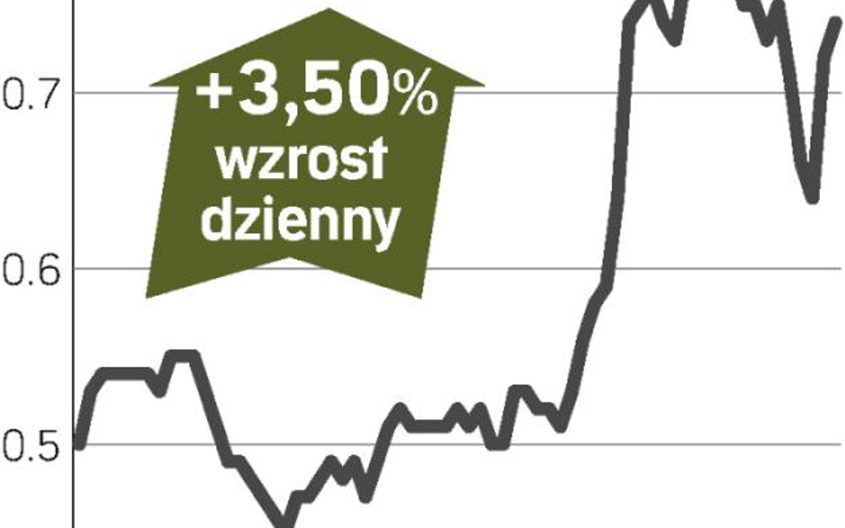 Przez oszczędności do zysków