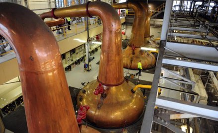 Szkocka whisky bardziej ekologiczna