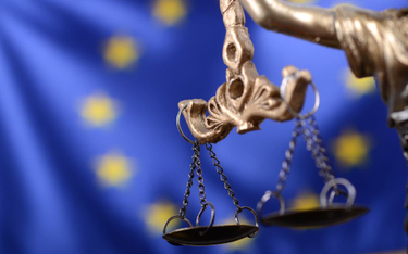 Sieć Prezesów SN i Sieć Rad Sądownictwa UE: Położyć kres niesprawiedliwości