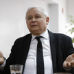 Dąbrowska: PiS zrzuca winę na Niemców i muzułmanów