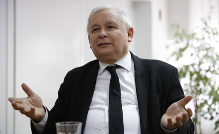 Dąbrowska: PiS zrzuca winę na Niemców i muzułmanów