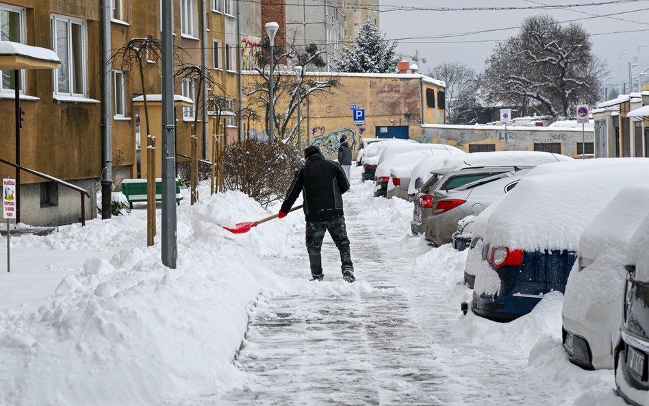 Rekordowy styczeń dla fachowców. Mróz i śnieg napędziły rynek usług