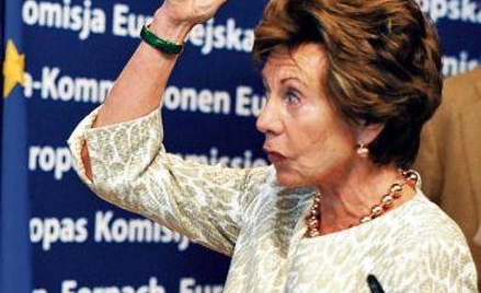 Zanim została komisarz UE, Neelie Kroes pracowała m. in. w koncernach: Volvo, Lucent Technologies cz
