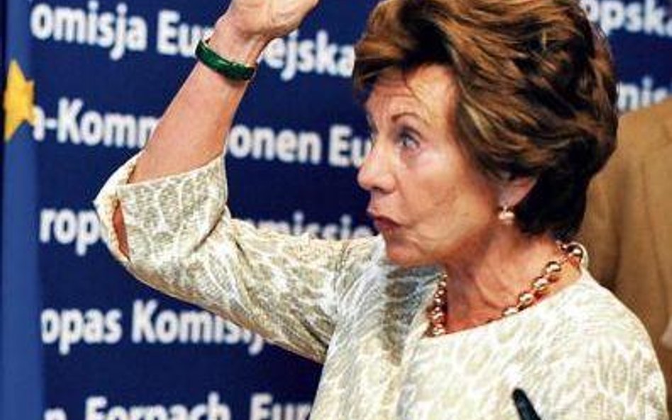 Zanim została komisarz UE, Neelie Kroes pracowała m. in. w koncernach: Volvo, Lucent Technologies cz