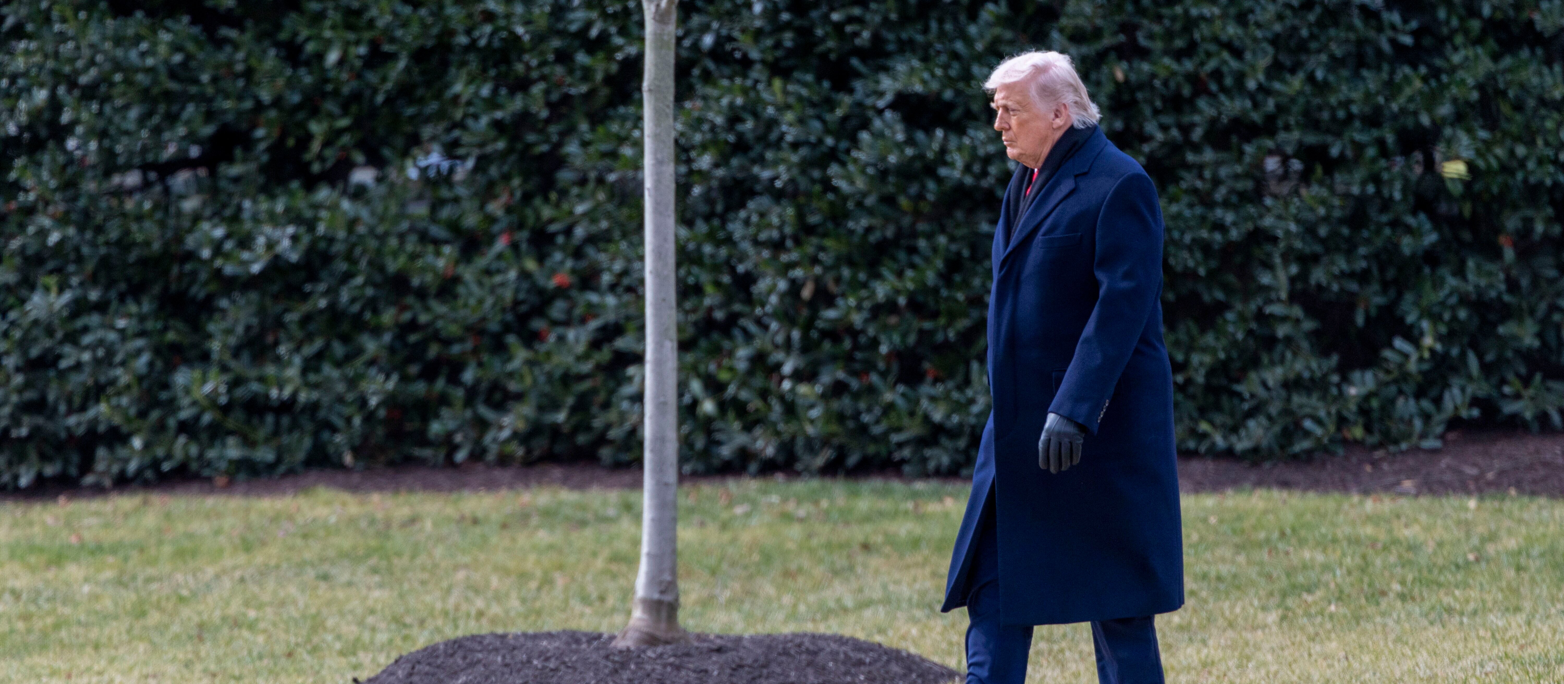 Trump chce podstępem wygrać wybory