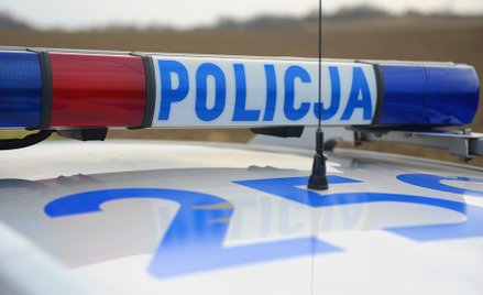 Sąsiedzi uprawiali marihuanę na działce męża prezydent Warszawy