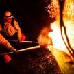 Strażacy walczą z pożarem lasu w powiecie biłgorajskim