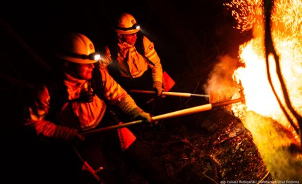 Strażacy walczą z pożarem lasu w powiecie biłgorajskim
