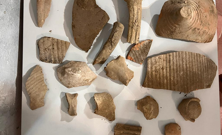 Odkrycie ukraińskiej Służby Granicznej