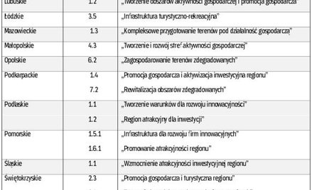 Wybrane działania Regionalnych Programów Operacyjnych wspierających tworzenie i promocję terenów inw