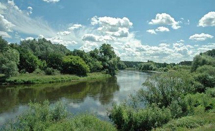 Warta w Puszczykowie. To w niej utonęła 35-letnia kobieta i jej siedmioletni syn