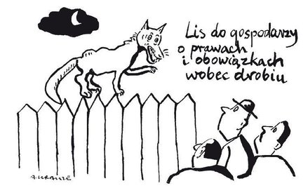 Komentarz rysunkowy. Lis do gospodarzy