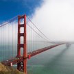 Golden Gate jak wielka osa