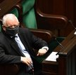 Sondaż. Rosną notowania partii rządzącej i Konfederacji