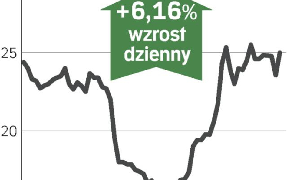 Ciech pokaże zysk pomimo opcji