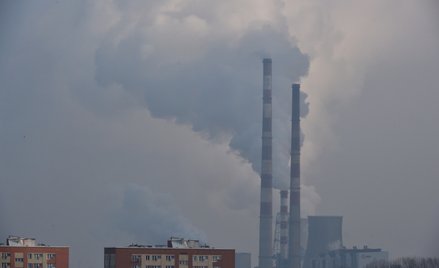 Informujcie rzetelnie o smogu. Apel do ministra środowiska