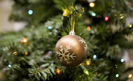 Gdzie w Warszawie kupić choinkę?