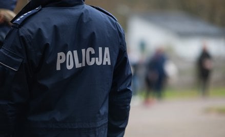 Ilu policjantów popełniło przestępstwa narkotykowe?