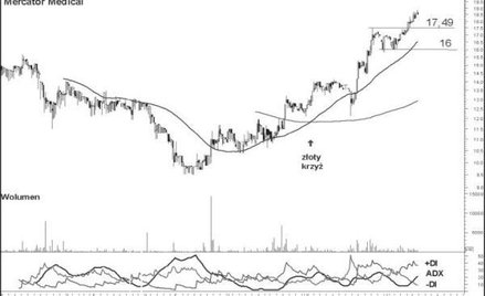Byki tygodnia, czyli trzy spółki z szansami na zwyżki...