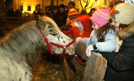 Żywa szopka to niezbędny element przed pasterką u oo. franciszkanów w Krakowie
