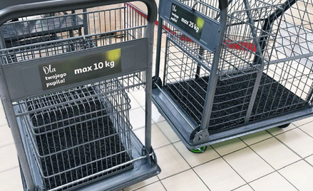 Wózki dla psów w Auchan. Francuska sieć testuje w Polsce zakupy z pupilami