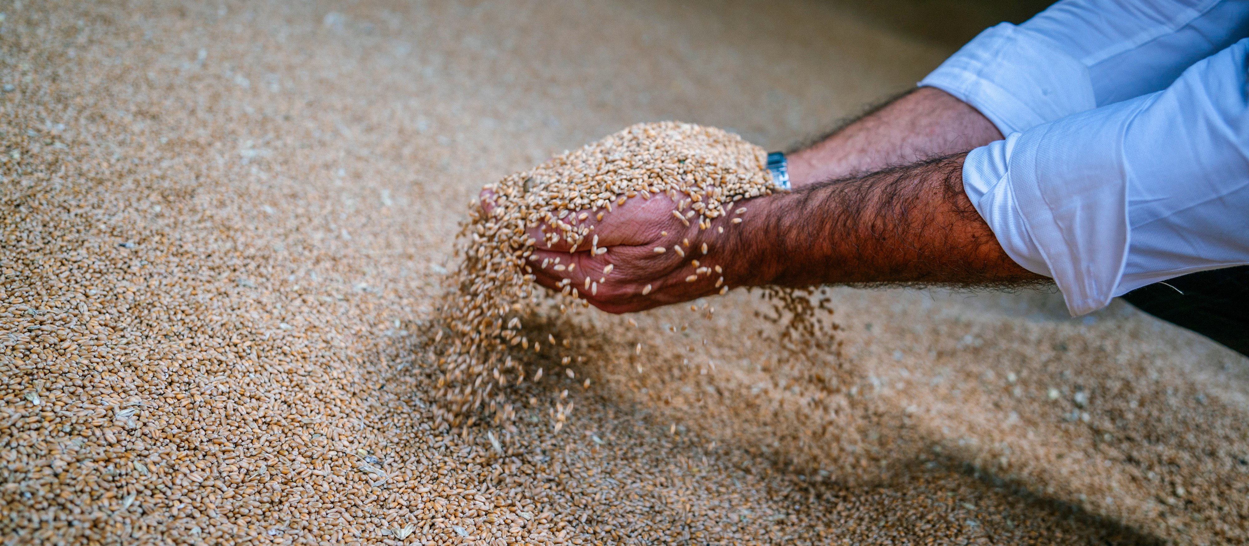 Ukraina apeluje do Zachodu o sankcje na afrykański kraj. istotny powód
