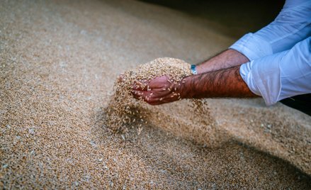 Ukraina apeluje do Zachodu o sankcje na afrykański kraj. Ważny powód
