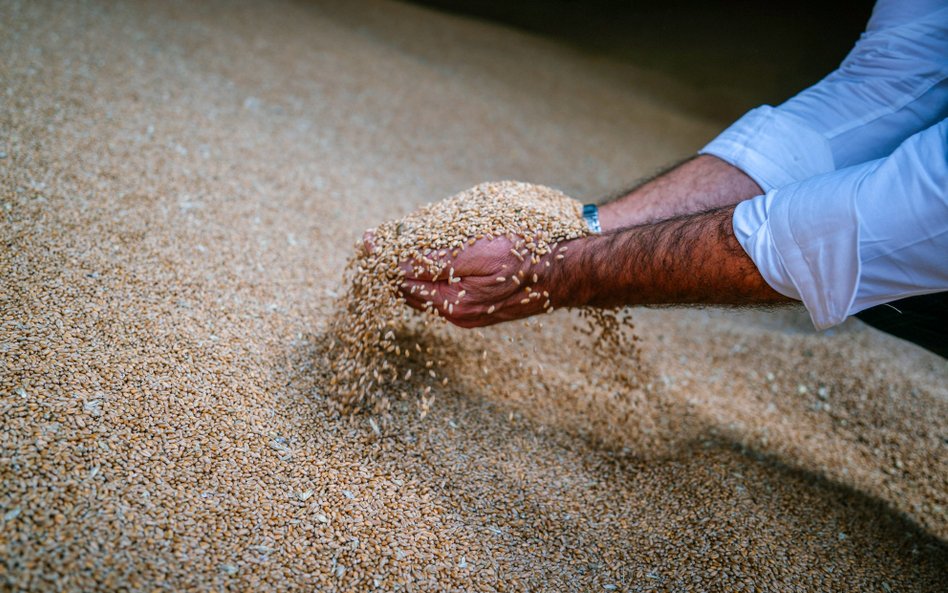 Ukraina apeluje do Zachodu o sankcje na afrykański kraj. Ważny powód