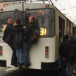 Petersburski trolejbus