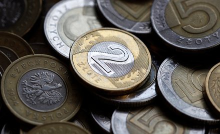 Złoty lekko zyskał do głównych walut. W tle rezygnacja Joe Bidena