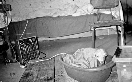 Projekt IS(not) fot. Michał Łuczak