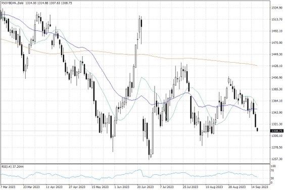 Notowania soi w USA – dane dzienne