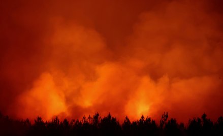 Tureckie media: Pożary trawią lasy między innymi na turystycznym południu kraju