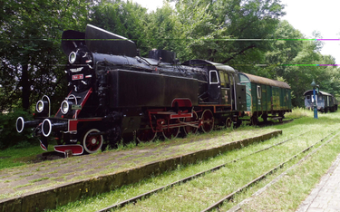 Niejeden leje łzy po linii kolejowej nieczynnej od 1994 r. Niestety, odcinek z Hajnówki, liczący 20 